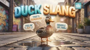 Duck Slang