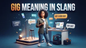 Gig Meaning in Slang